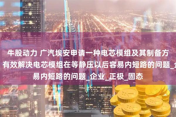牛股动力 广汽埃安申请一种电芯模组及其制备方法和电池专利，有效解决电芯模组在等静压以后容易内短路的问题_企业_正极_固态