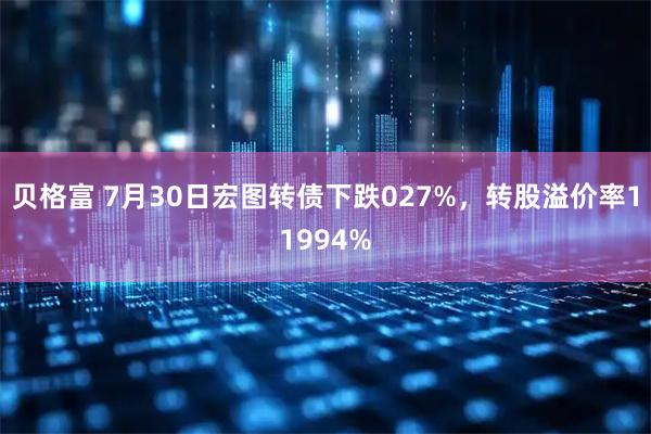 贝格富 7月30日宏图转债下跌027%，转股溢价率11994%