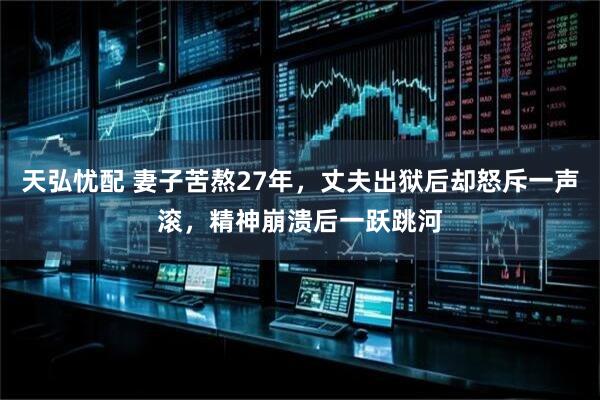 天弘忧配 妻子苦熬27年，丈夫出狱后却怒斥一声滚，精神崩溃后一跃跳河
